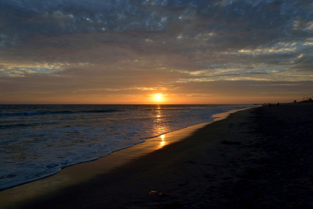 DSC_0491